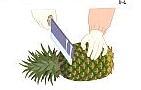 [pineapple]